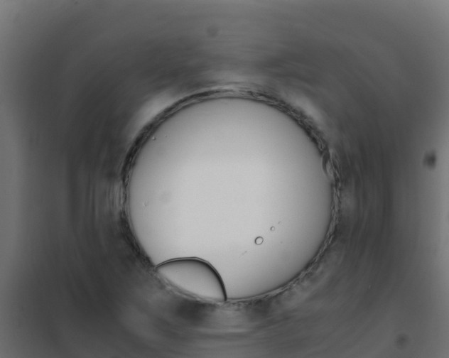 X0000102481267200808081024