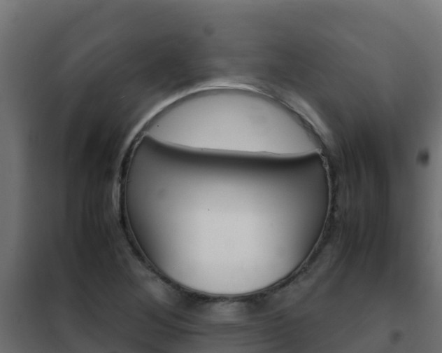 X0000102481268200808081024
