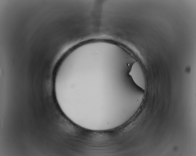 X0000102481270200808081024