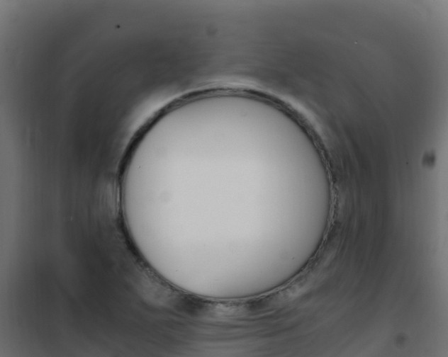 X0000102481271200808081024