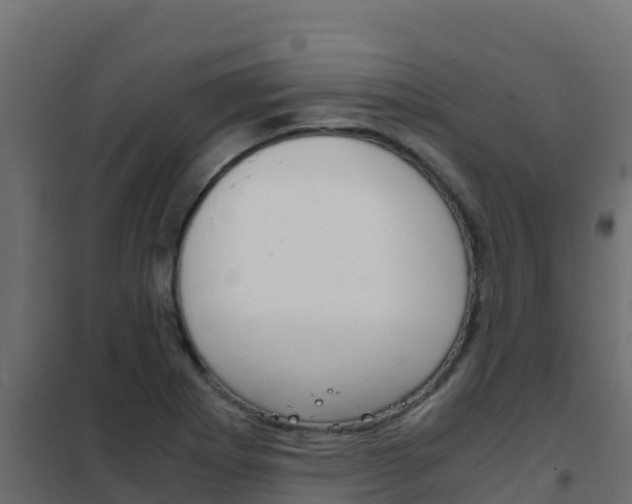 X0000102481273200808081024