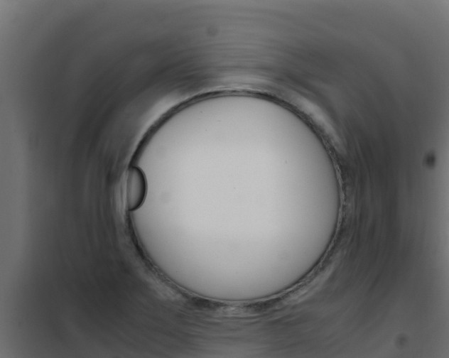X0000102481275200808081024