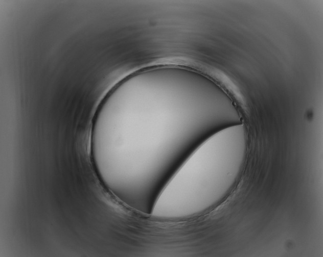 X0000102481276200808081024