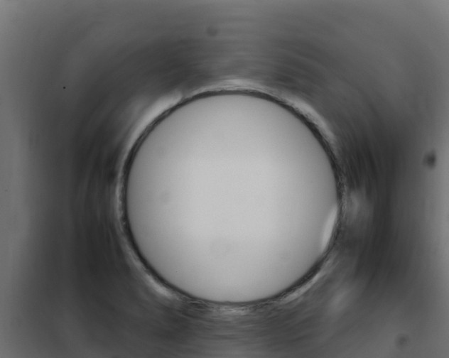 X0000102481278200808081024
