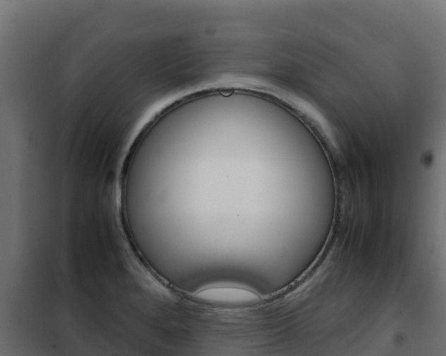 X0000102481280200808081024