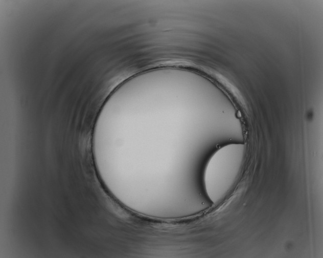 X0000102481281200808081024