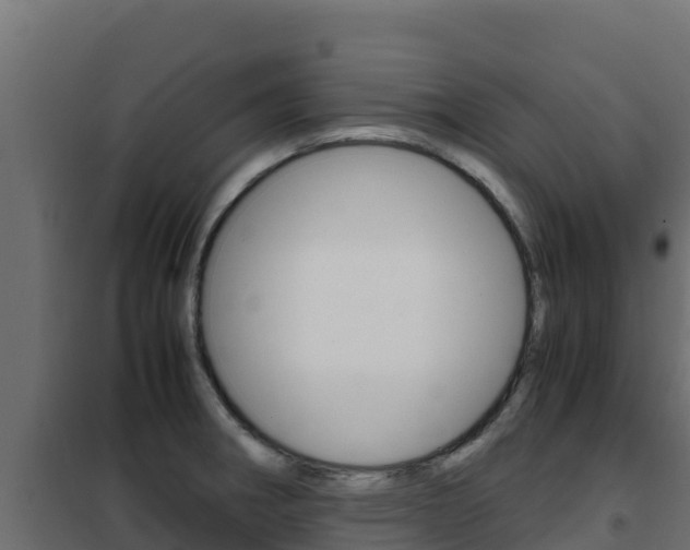 X0000102481282200808081024