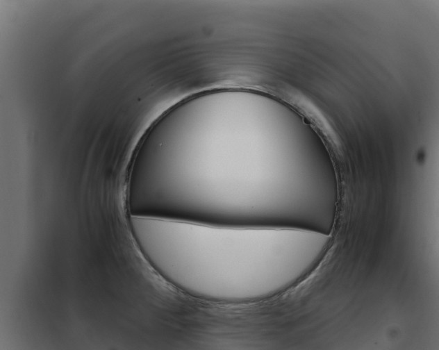 X0000102481284200808081024