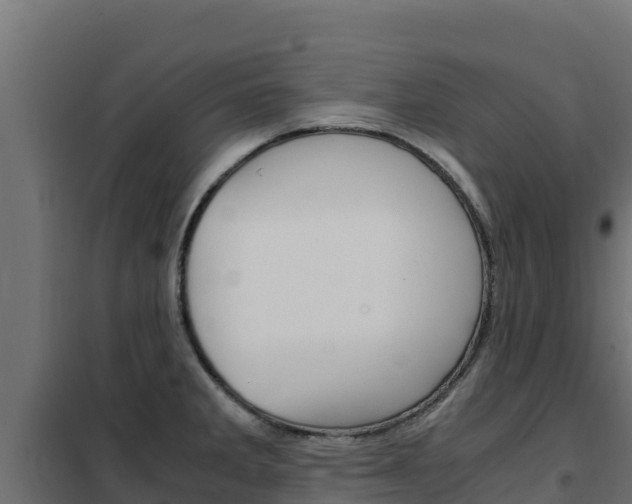 X0000102481285200808081024