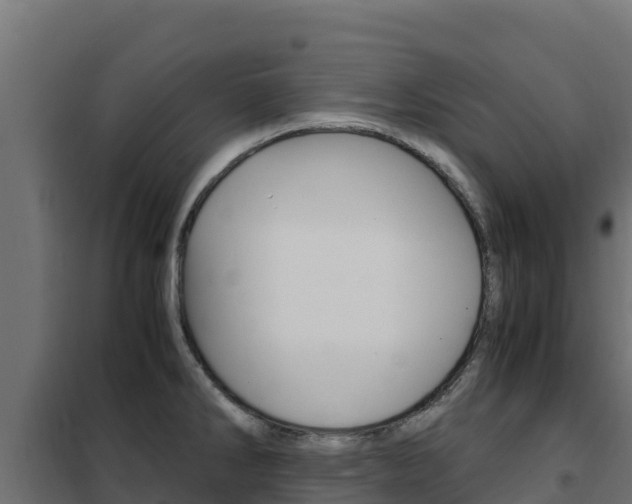 X0000102481286200808081024