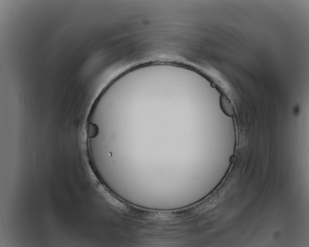 X0000102481287200808081024