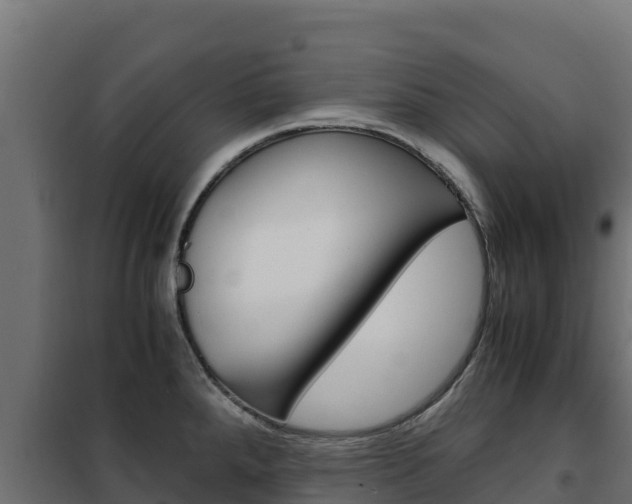 X0000102481288200808081024