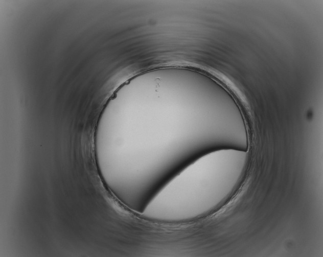 X0000102481289200808081024