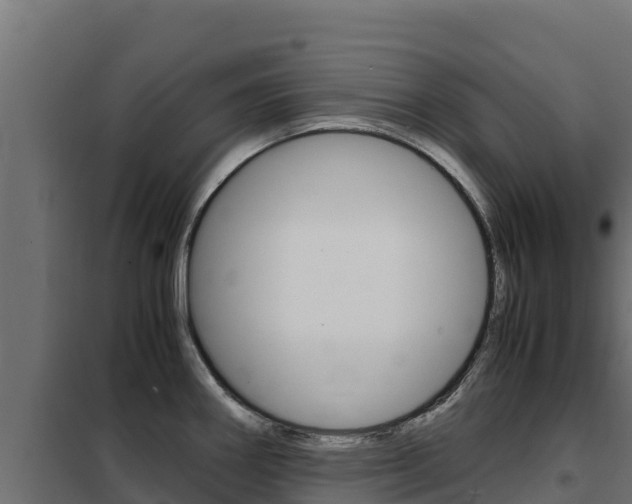 X0000102481290200808081024