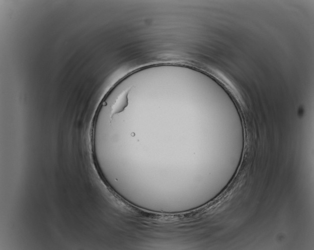X0000102481291200808081024
