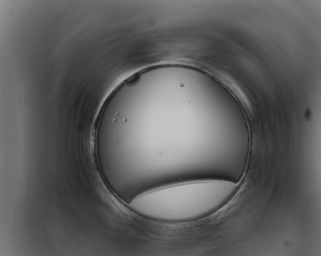 X0000102481292200808081024