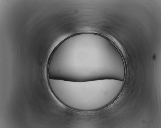 X0000102481293200808081024