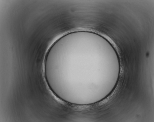 X0000102481294200808081024