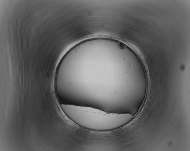 X0000102481296200808081024