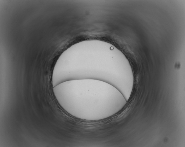 X0000102481300200808081023