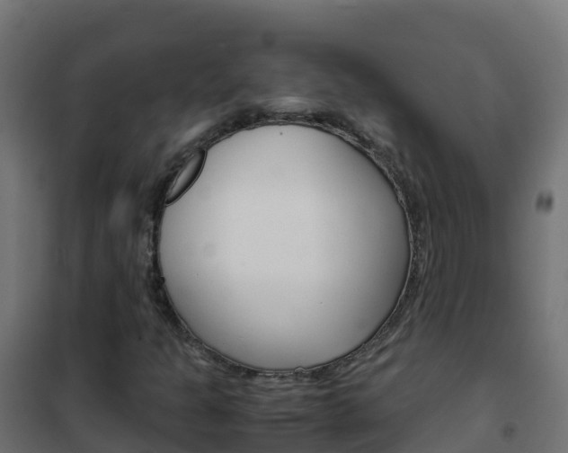 X0000102481301200808081023