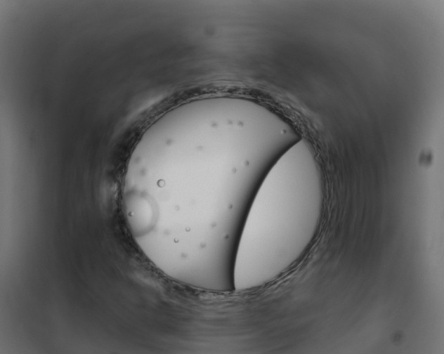 X0000102481302200808081023