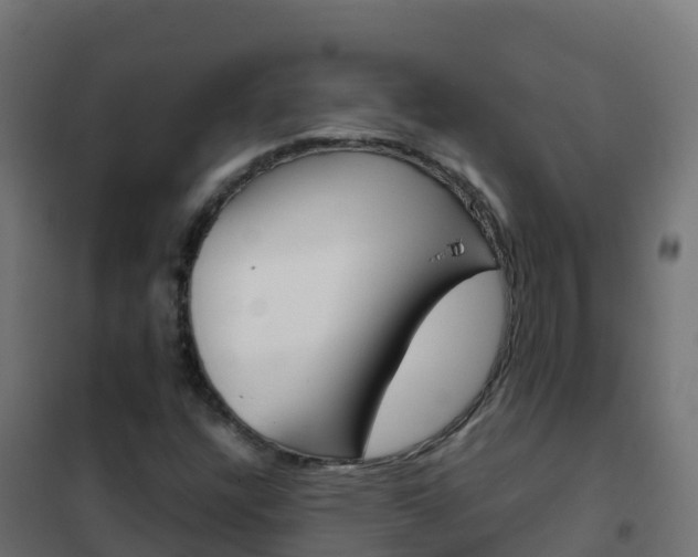 X0000102481304200808081023
