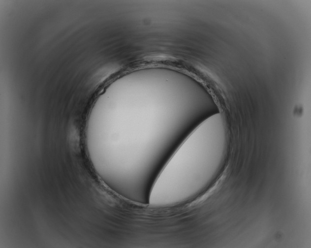 X0000102481305200808081023