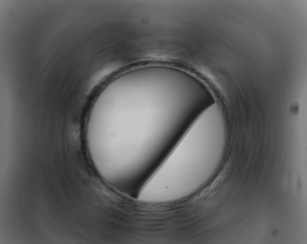 X0000102481307200808081023