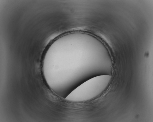 X0000102481308200808081023