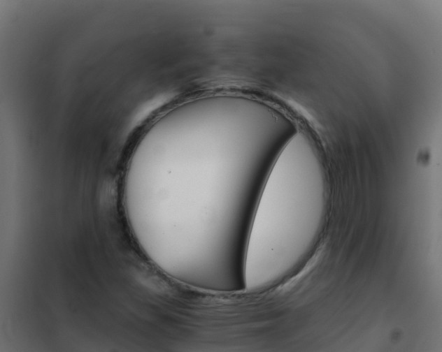 X0000102481309200808081023