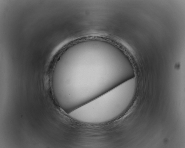 X0000102481310200808081023