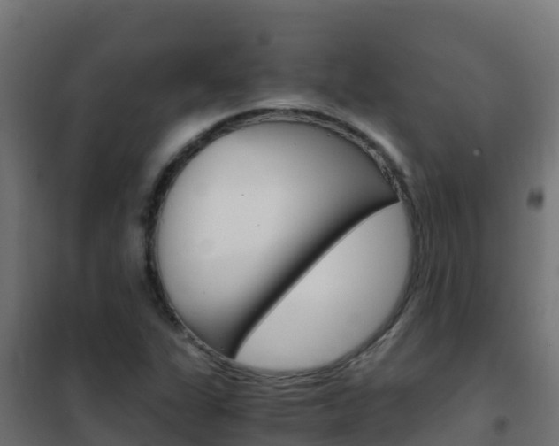 X0000102481311200808081024