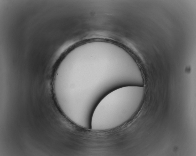 X0000102481312200808081024