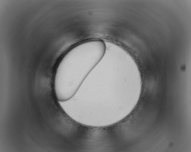 X0000102481314200808081024