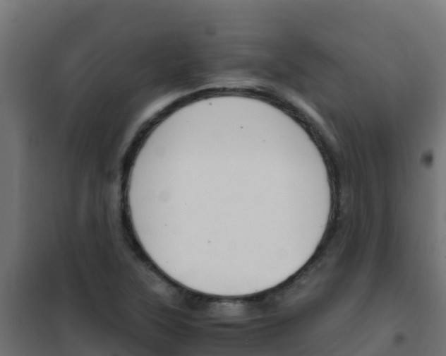 X0000102481315200808081024