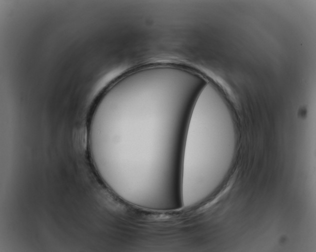 X0000102481317200808081024