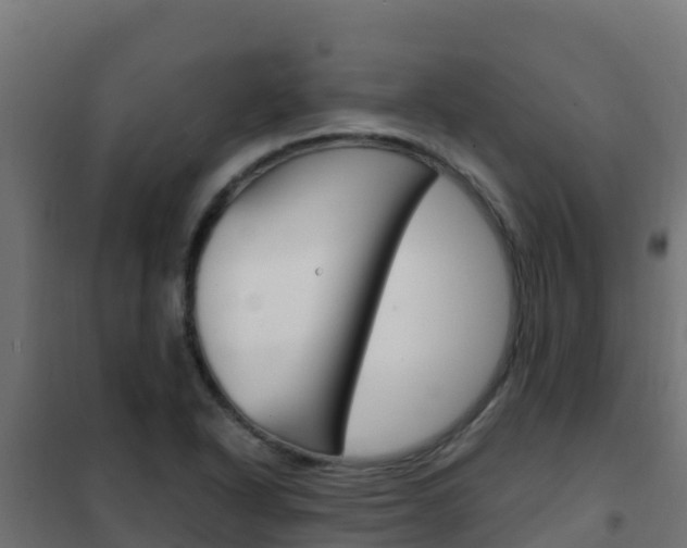 X0000102481318200808081024