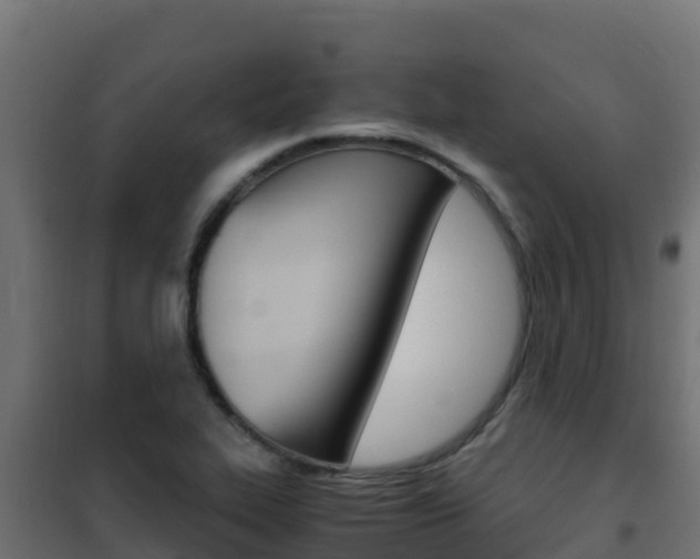 X0000102481319200808081024