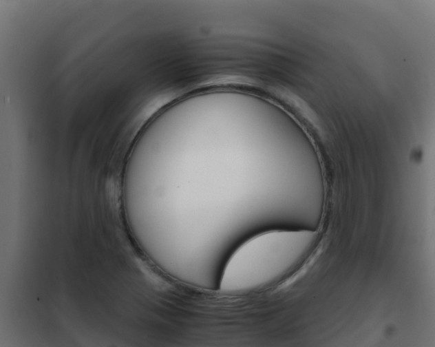 X0000102481321200808081024