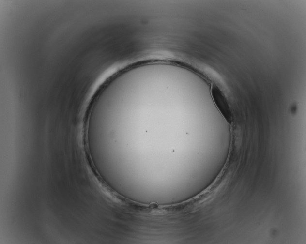 X0000102481326200808081024
