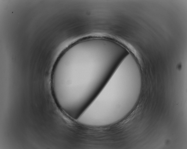 X0000102481327200808081024