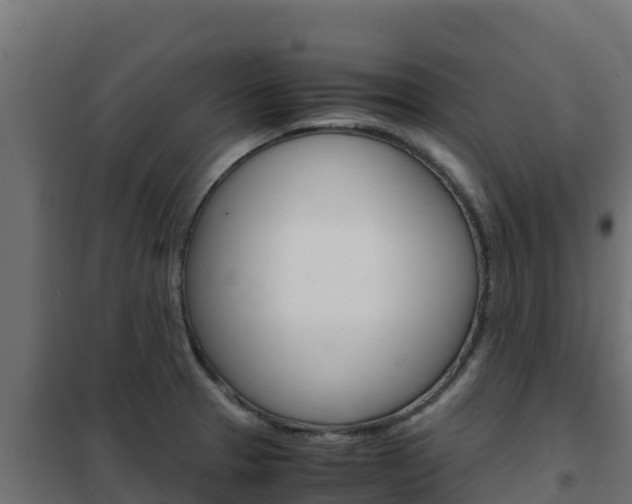 X0000102481329200808081024
