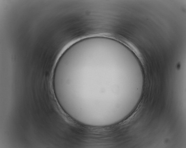 X0000102481332200808081024