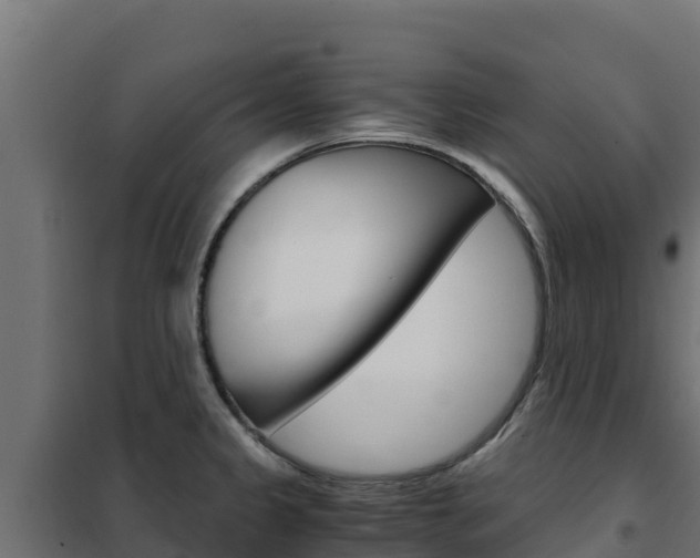 X0000102481333200808081024