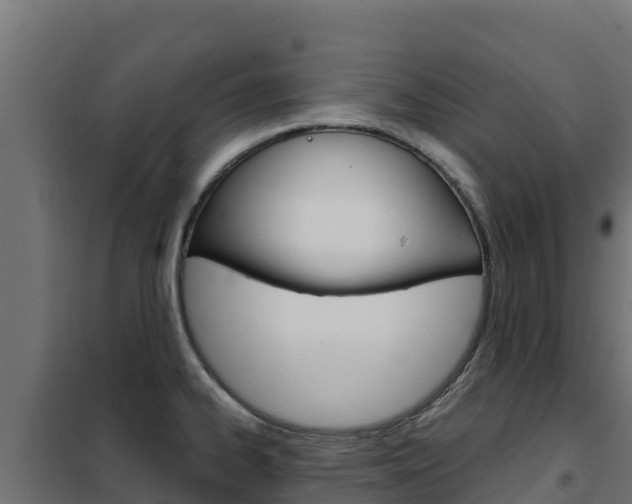 X0000102481334200808081024
