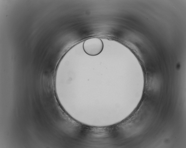 X0000102481338200808081024