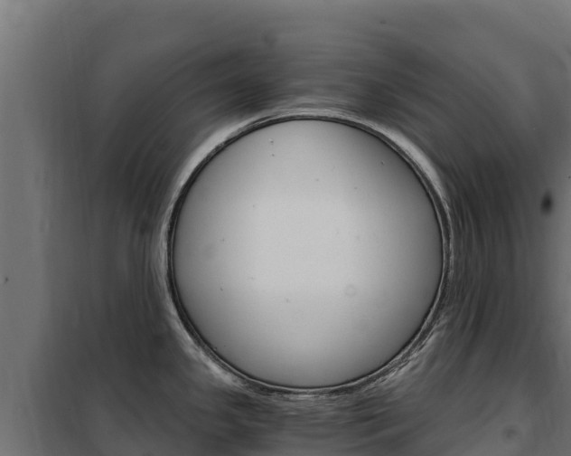 X0000102481341200808081024