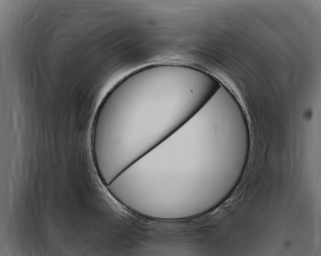 X0000102481344200808081024