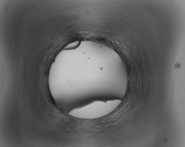 X0000102481345200808081023